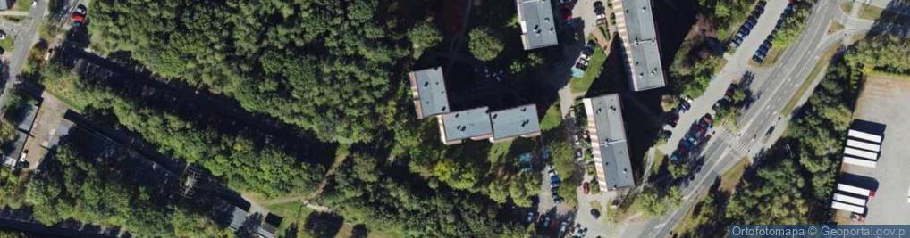 Zdjęcie satelitarne Adam Gaczek - Działalność Gospodarcza