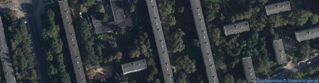 Zdjęcie satelitarne Adam Kraśny - Działalność Gospodarcza