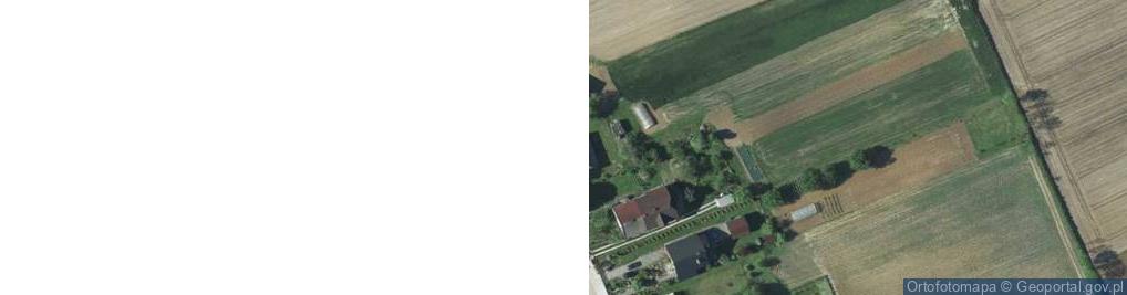 Zdjęcie satelitarne Adam Lis Games World