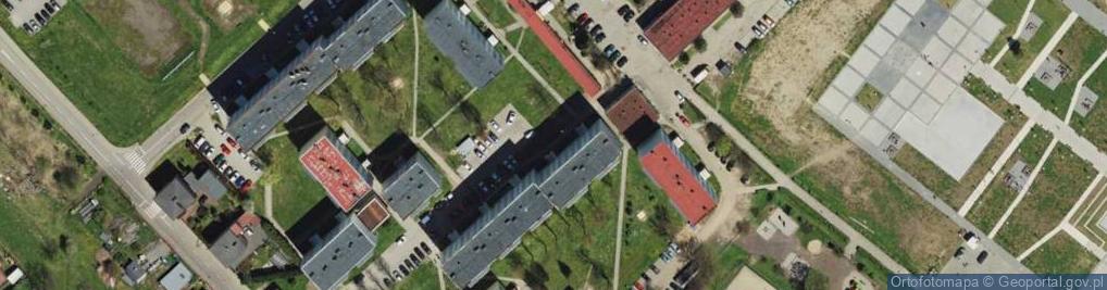 Zdjęcie satelitarne Adam Olkowicz - Działalność Gospodarcza