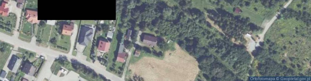 Zdjęcie satelitarne Adam Polański - Działalność Gospodarcza