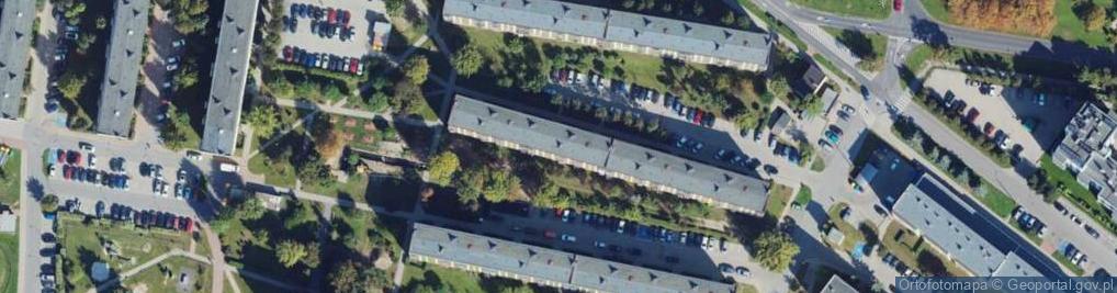 Zdjęcie satelitarne Adam Zaremba - Działalność Gospodarcza
