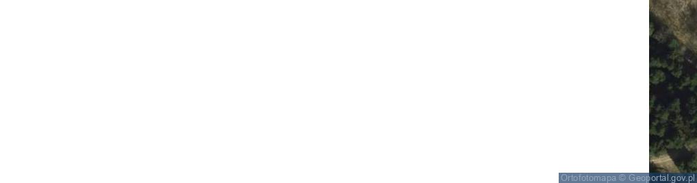 Zdjęcie satelitarne Adameczek Krystyna Górowska Agnieszka