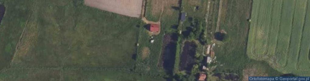 Zdjęcie satelitarne Agata Mroczkowska
