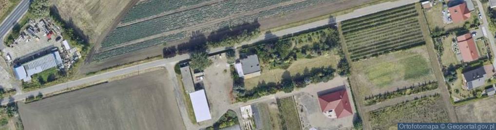 Zdjęcie satelitarne Agencja Ubezpieczeniowa