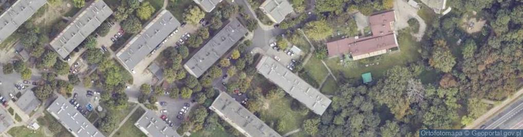 Zdjęcie satelitarne Akademia Ruchu Anna Zioła