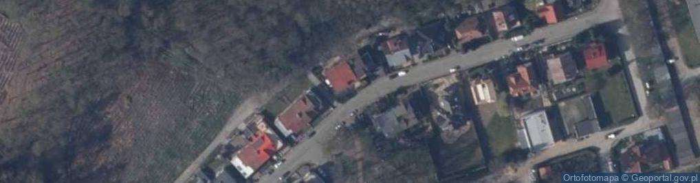 Zdjęcie satelitarne Al Dente