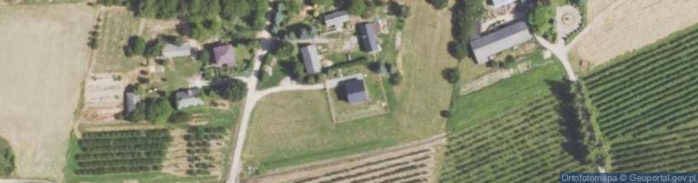 Zdjęcie satelitarne Albert Żyła - Działalność Gospodarcza
