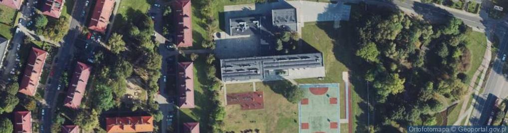 Zdjęcie satelitarne Aleksandra Bauer - Działalność Gospodarcza