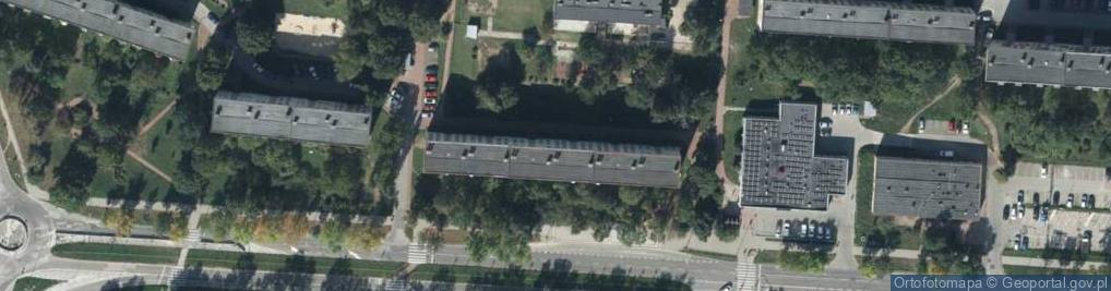 Zdjęcie satelitarne Aleksandra Bryl