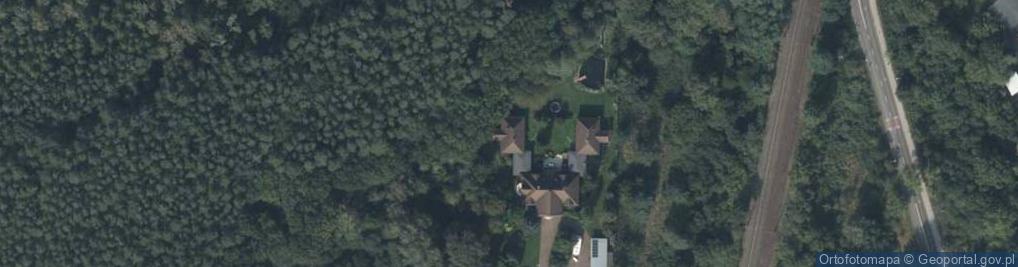 Zdjęcie satelitarne Aleksandra Duszyńska - Działalność Gospodarcza