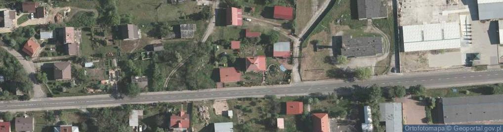 Zdjęcie satelitarne Aleksandra Górak - Działalność Gospodarcza