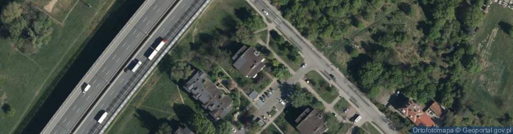 Zdjęcie satelitarne Aleksandra Krzysik