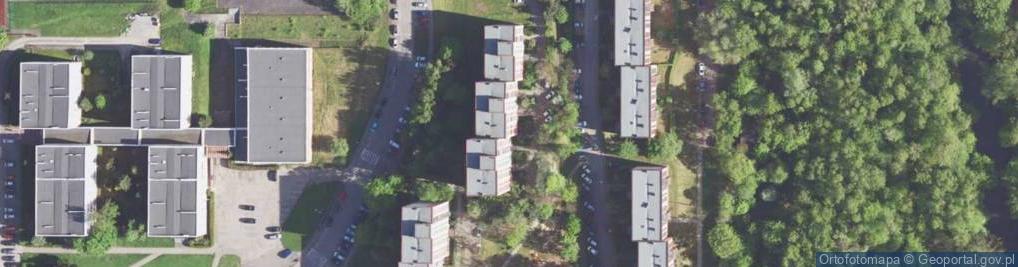 Zdjęcie satelitarne Aleksandra Kuta