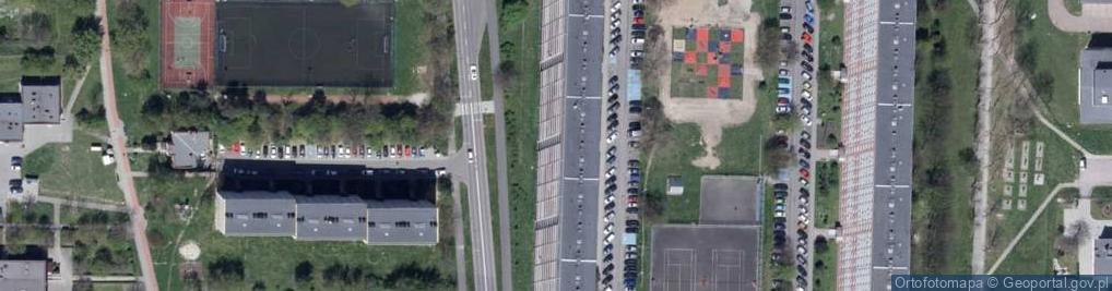 Zdjęcie satelitarne Aleksandra Lichota - Działalność Gospodarcza