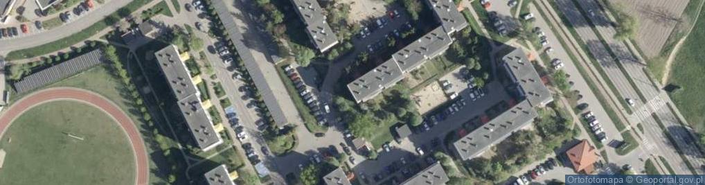 Zdjęcie satelitarne Aleksandra Smagowska Alli Polli