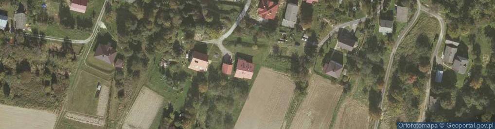 Zdjęcie satelitarne Alere Łukasz Stępak