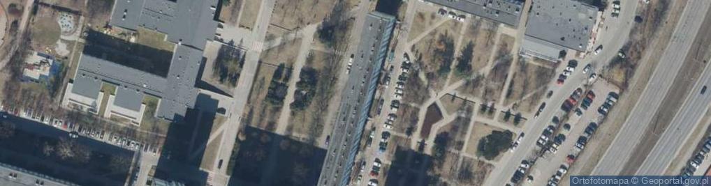 Zdjęcie satelitarne Alfarm Wiesława Dymek, Dariusz Jankowski, Krzysztof Wodzyński