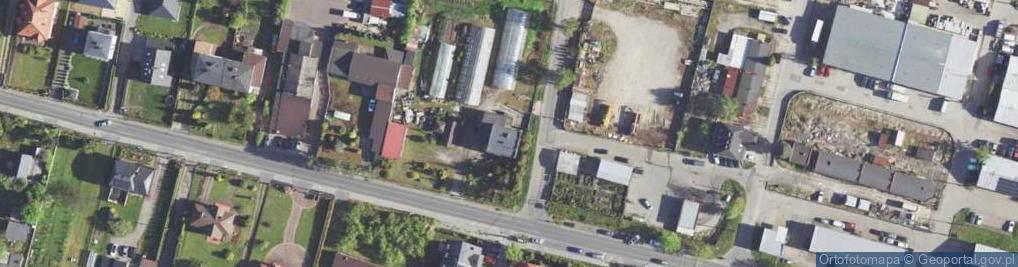 Zdjęcie satelitarne Alfa