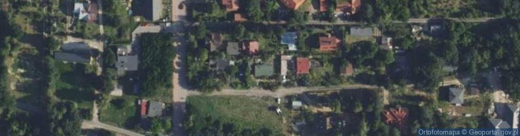 Zdjęcie satelitarne Alfred Orzechowski - Działalność Gospodarcza