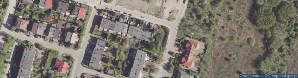 Zdjęcie satelitarne Alga-Polen Jerzy Darmas