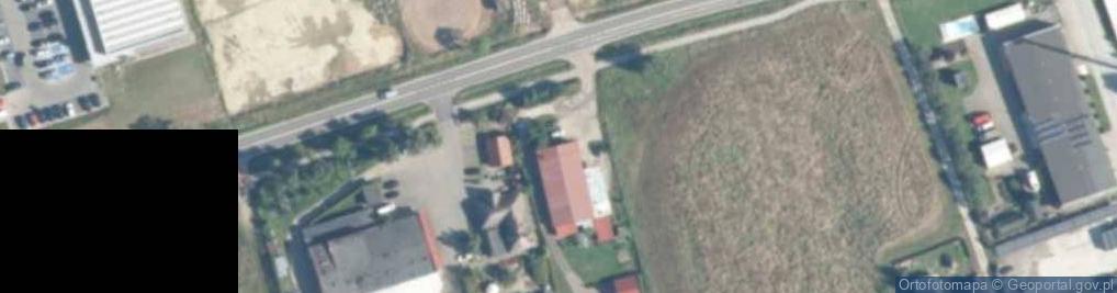 Zdjęcie satelitarne Algi