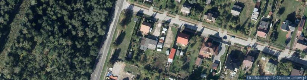 Zdjęcie satelitarne Alicja Hucińska