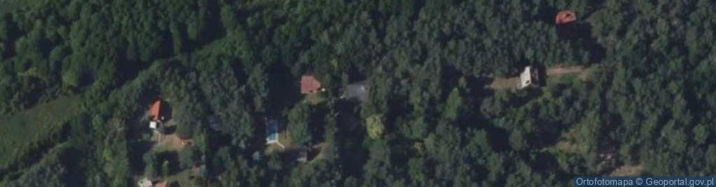 Zdjęcie satelitarne Alicja Kuberka Alto-Protekt