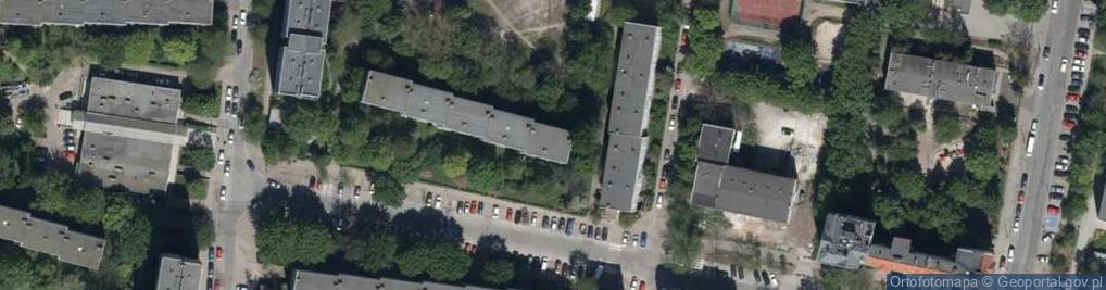 Zdjęcie satelitarne Alicja Napierała