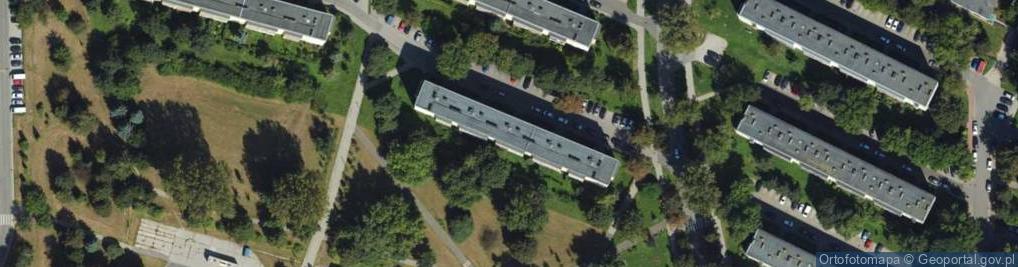 Zdjęcie satelitarne Alicja Szafrańska