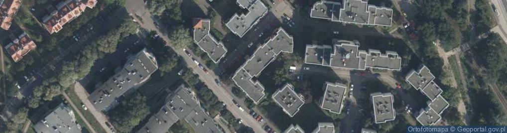 Zdjęcie satelitarne Alina Sowińska