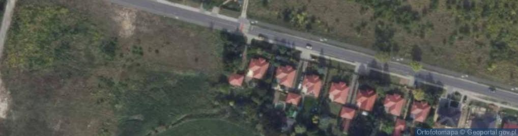 Zdjęcie satelitarne Alina Teodorowicz - Działalność Gospodarcza