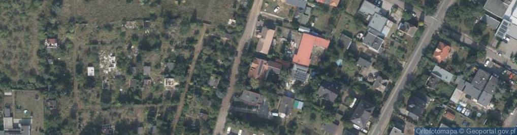 Zdjęcie satelitarne Allora