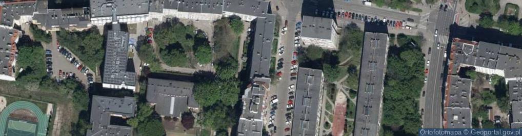 Zdjęcie satelitarne Alwis Michał Szyluk Andrzej Bereźnicki