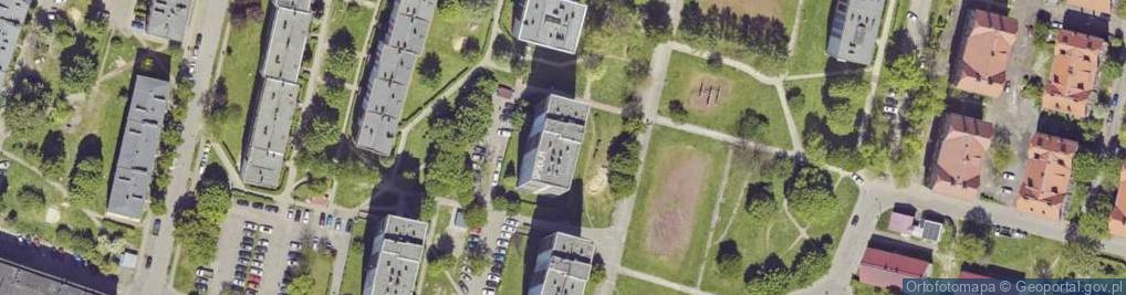 Zdjęcie satelitarne AmarthSoft