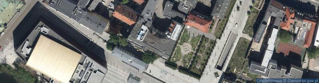 Zdjęcie satelitarne Amber