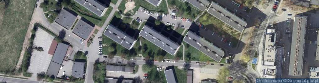 Zdjęcie satelitarne Amerus Enterprises LTD Oddział w Wodzisławiu Śląskim