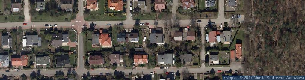 Zdjęcie satelitarne Amur