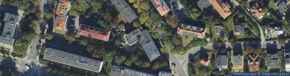 Zdjęcie satelitarne Analiza Binesowa It Akademia