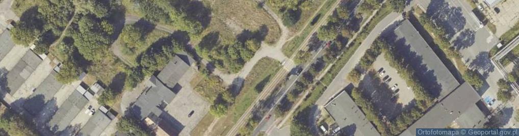 Zdjęcie satelitarne Anata