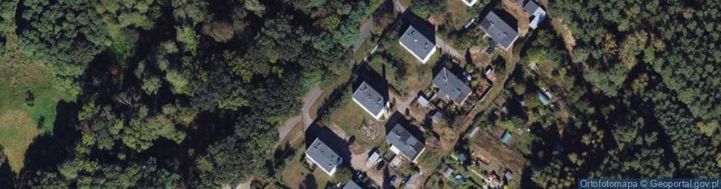 Zdjęcie satelitarne Andrzej Bandyszewski - Działalność Gospodarcza