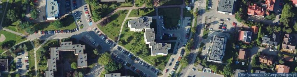 Zdjęcie satelitarne Andrzej Kurdziel Zakład Pielęgnacji Drzew