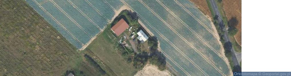 Zdjęcie satelitarne Andrzej Tarnicki Tar-Tech