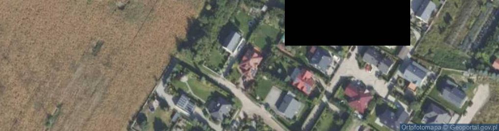 Zdjęcie satelitarne Angielski w Dąbrowie.Agata Miszczak-Leda