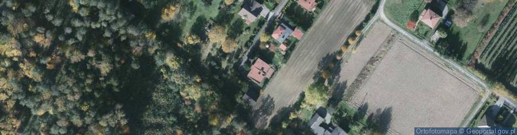 Zdjęcie satelitarne Anglista