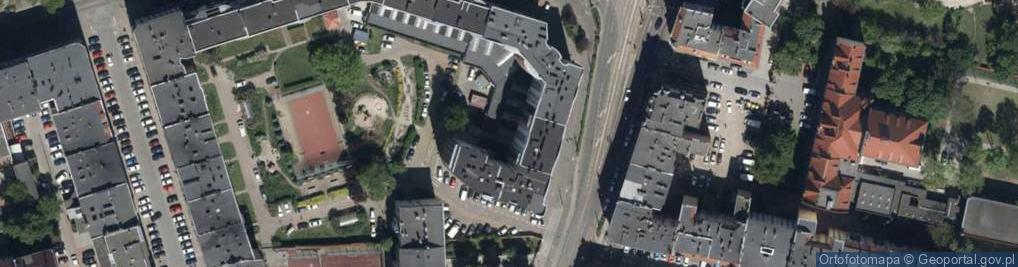 Zdjęcie satelitarne Animal Cordis