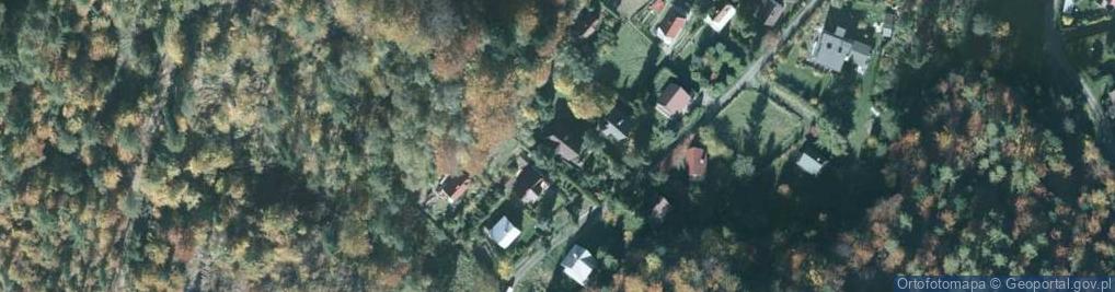 Zdjęcie satelitarne Anna Mitka - Działalność Gospodarcza