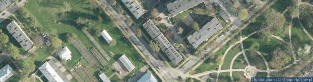 Zdjęcie satelitarne Anna Radomska - Działalność Gospodarcza