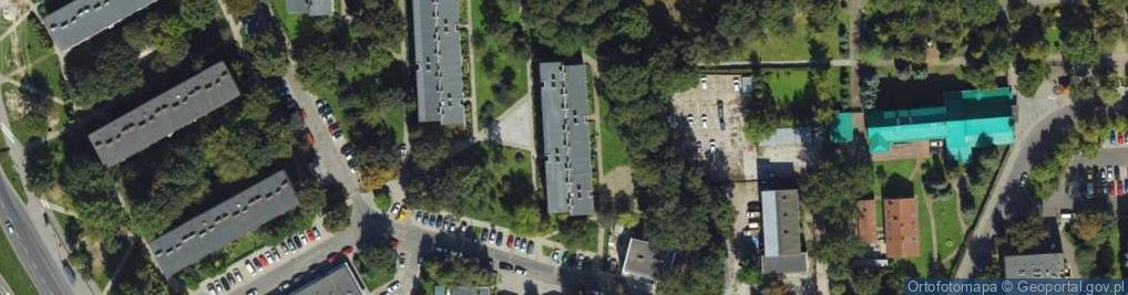 Zdjęcie satelitarne Anna Rzepka Agencja Reklamowa Pixel-Projekt