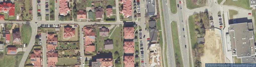 Zdjęcie satelitarne Apicompi Andrzej Potera